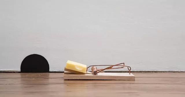 Wooden mousetrap with cheese on the floor, near a painted mouse hole on a white wall.