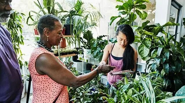 Woman holding a plant while another processes a payment, they're surrounded by green plants in a florist shop.