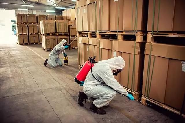 Two workers in protective coveralls and gloves are inspecting or applying a treatment to large, stacked cardboard boxes on pallets in a warehouse. Each holds a canister sprayer. The area is spacious and well-lit.
