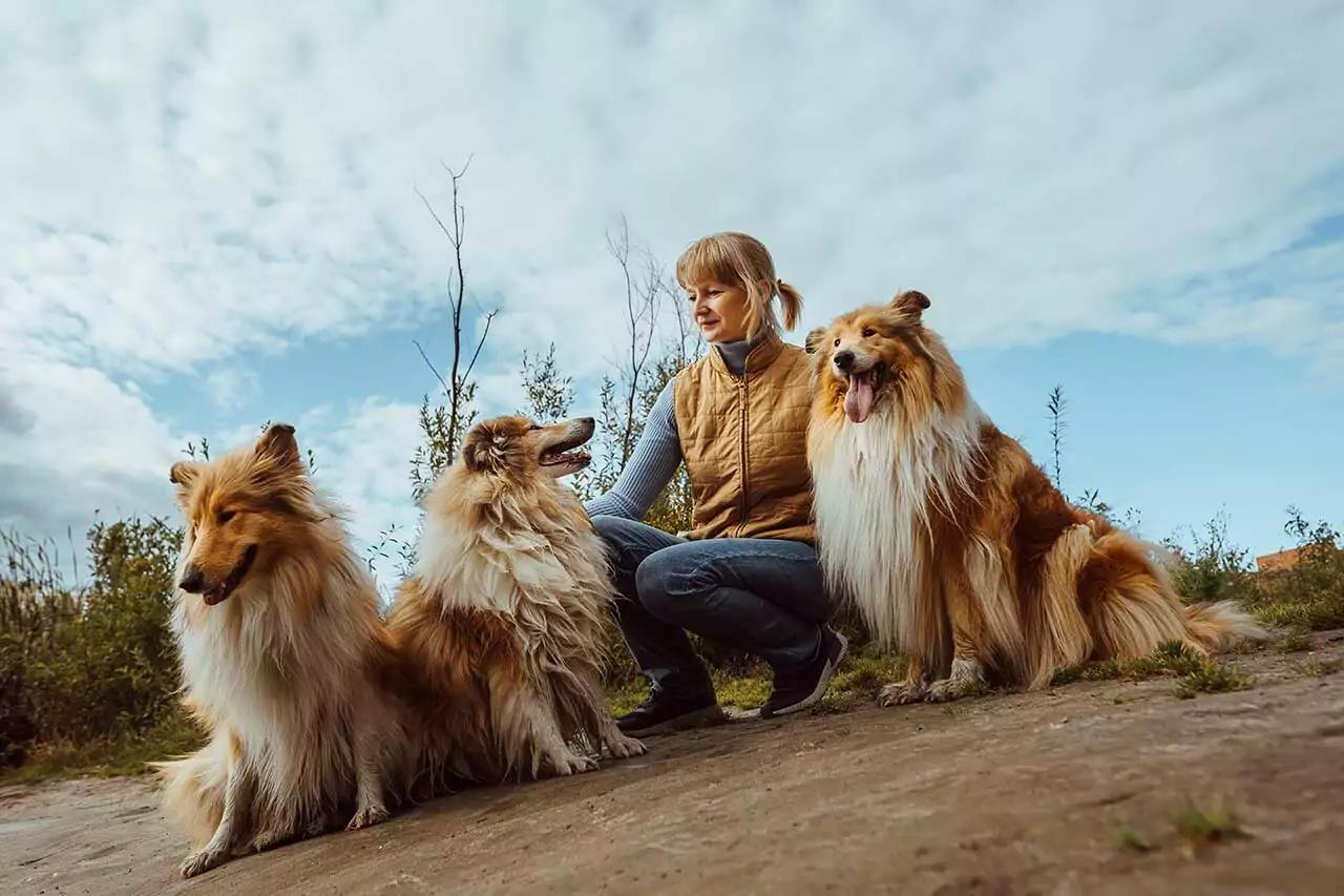 Dog Breeders Insurance