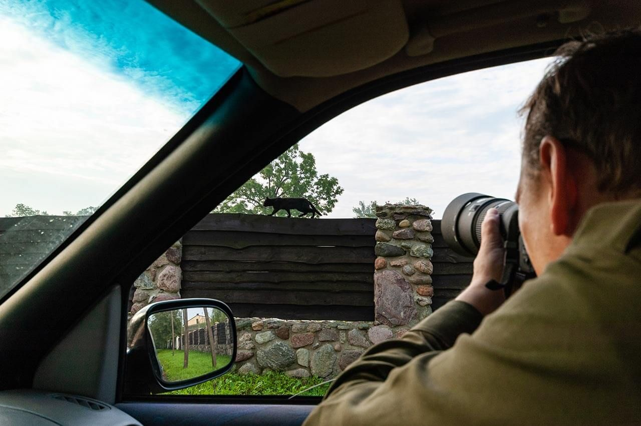 Photographer insurance