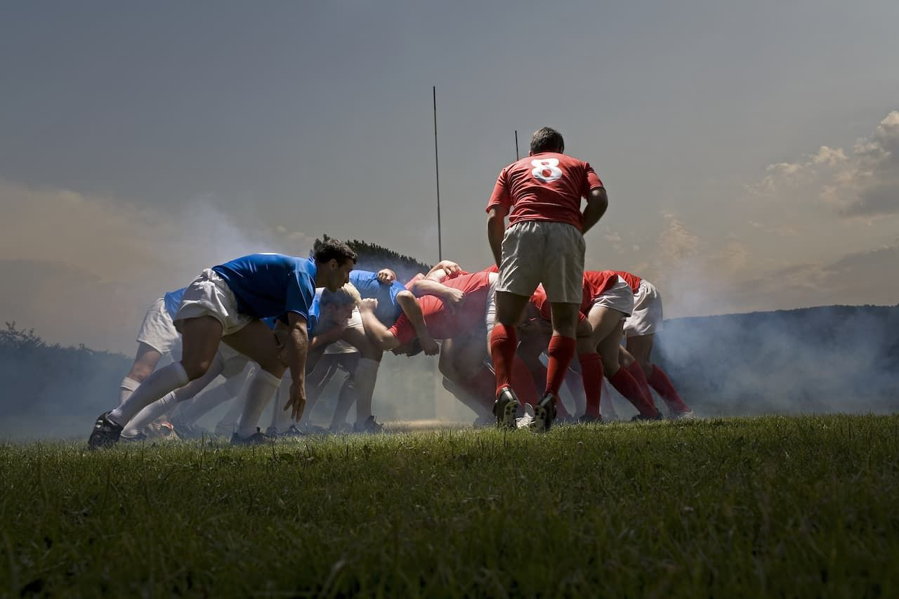 What can businesses learn from world cup rugby in 2019