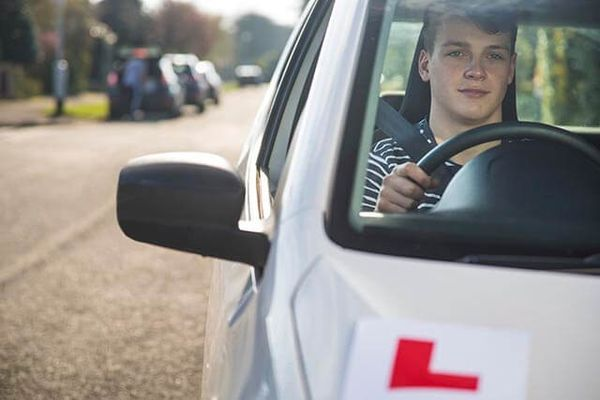 Driving school insurance