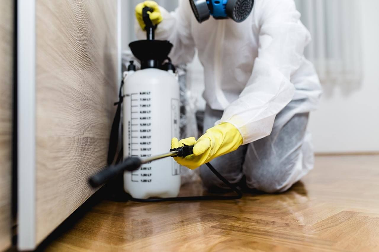 Pest control insurance