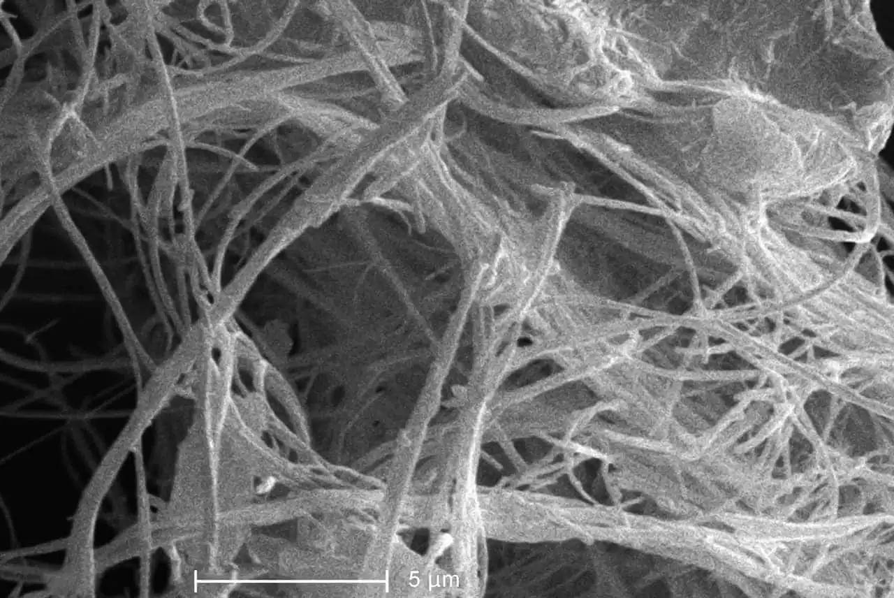 Managing asbestos risks