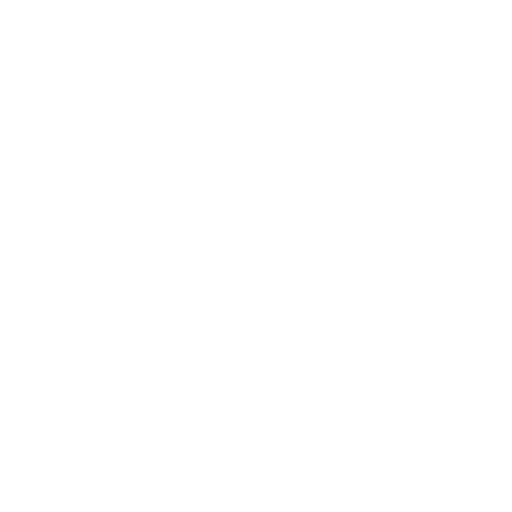 Professional Services